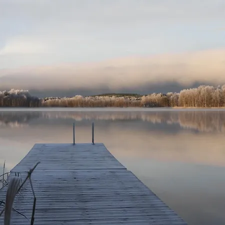 Woikoski Feeling - Whd Gard